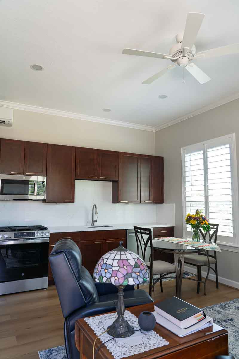 Ceiling Fan Clean & Install