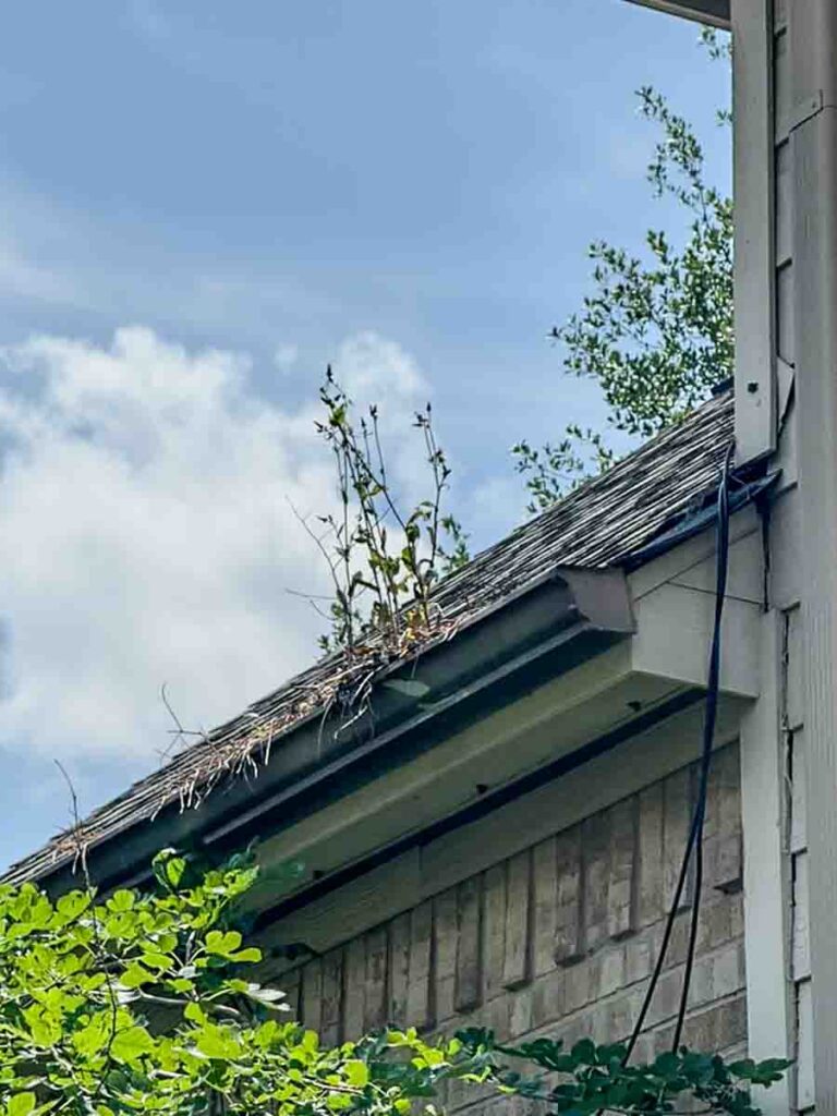 Gutter Cleaning & Repairs